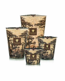 BAOBAB - Max24 - Sacred Trees - Mankono