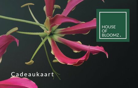 Cadeaukaart &euro;15.00