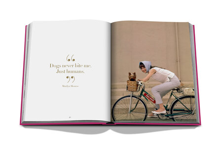 Assouline - Chic Dogs
