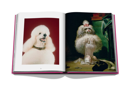 Assouline - Chic Dogs