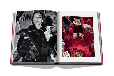 Assouline - Chic Dogs