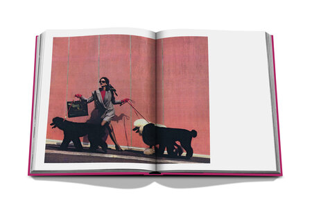 Assouline - Chic Dogs
