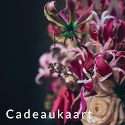 Cadeaukaart €125.00