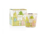 My First Baobab - Miami